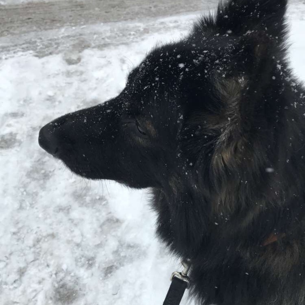 Meet your Posher, Madeleine